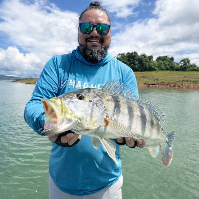 🎣Azulão na superfície! 💙
Ataque na Bonnie 95 (Silent), tr